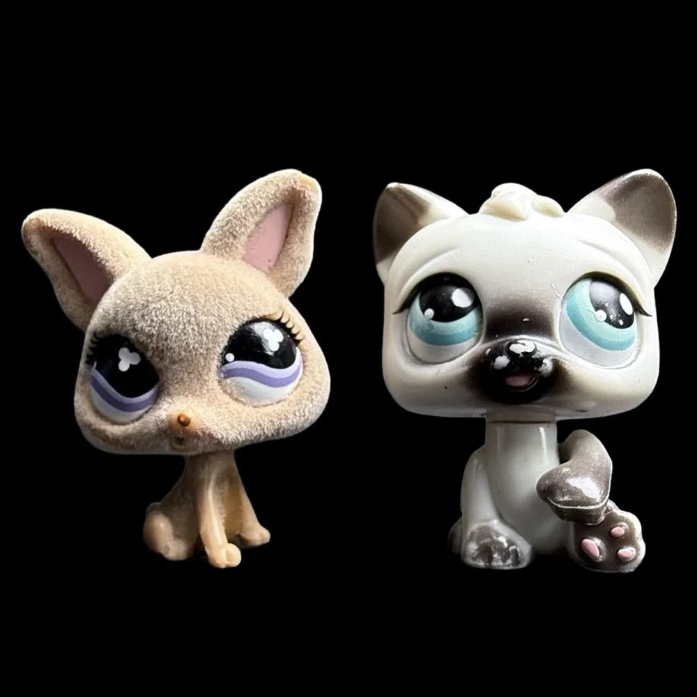 Littlest Pet Shop chihuahua missing